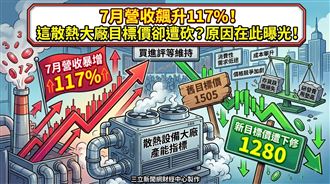 它7月營收增117%　目標價卻被調降原因曝