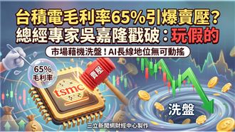 台積電毛利率65%引殺機？ 吳嘉隆：玩假的
