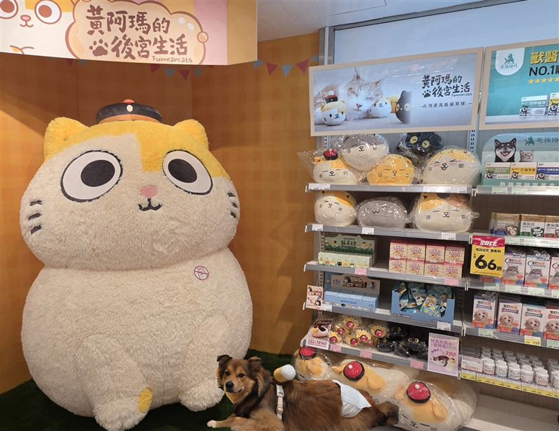 連鎖寵物通路展店達150家,結合「AI認養與促銷」搶攻萌寵市場商機。(圖/翻攝畫面)