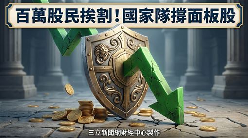 百萬股民挨割！國家隊2億撐這檔面板股