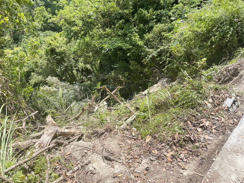 張男駕駛砂石車行經和平林道2K處時,不明原因墜落深約80公尺邊坡。(圖/翻攝畫面)
