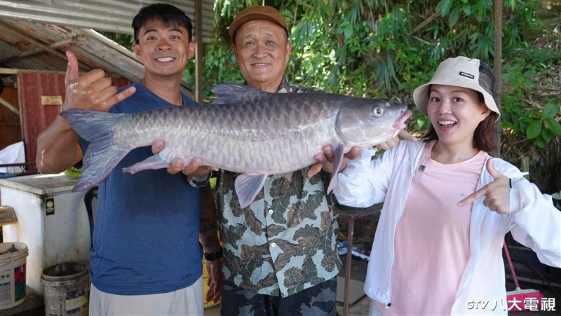 一條魚要價6萬 男星闖貨養殖場老闆變臉