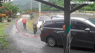 20年前奪3命！搜救老手同地遭蜂螫2死