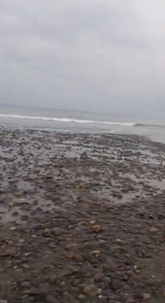印尼弗洛勒斯島（Flores island）發生規模7.7強震，多地已觀測到海嘯、海水退去的畫面曝光。（圖／翻攝自X平台）