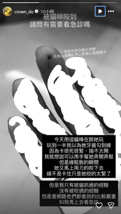 因未有被貓咪咬傷的經驗,讓滴妹緊張地發文詢問是否需要看急診。(圖/翻攝自IG @crown_du)