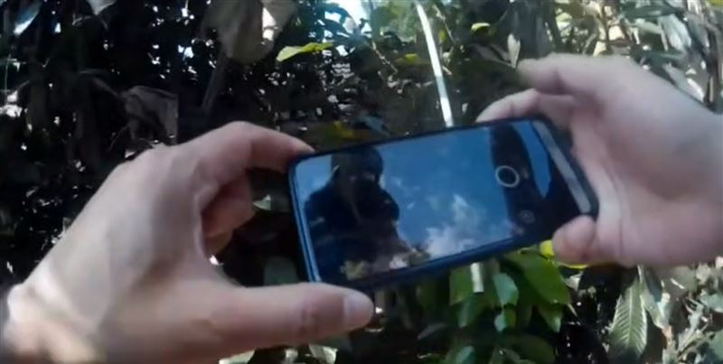 何男將槍枝藏匿於住處的香蕉園後方,遭到警方查獲。(圖/翻攝畫面)