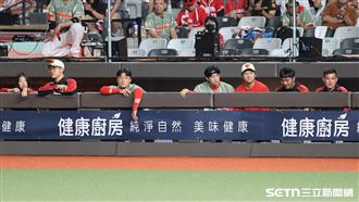 2大巨星大巨蛋開唱　味全拿手機錄遭罰1萬