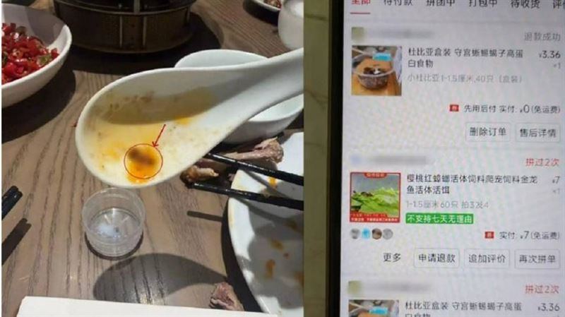 3男網購蟑螂吃霸王餐!2天狂敲詐5餐廳