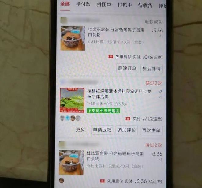 白吃白喝男子坦承網購「活蟑螂」設局吃霸王餐,「看網路教學影片學的」。(圖/翻攝微博)