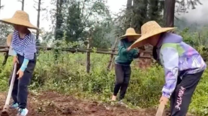 陸家長瘋「吃苦夏令營」！孩童砍柴累到哭