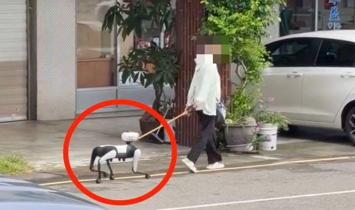 台中驚見「中國機器狗」趴趴走！全網瘋傳