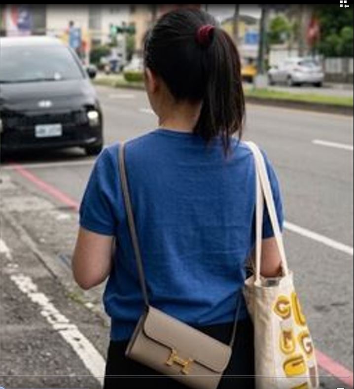 陳幸妤隨身背的帆布包成焦點。該款帆布袋是美國加州大學爾灣分校(UCI)與英國藝術家Julia Gash聯名設計的帆布包。（圖／翻攝畫面）