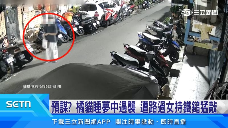 女子偷偷摸摸走在巷子內。(圖/翻攝自我與街貓的距離臉書)