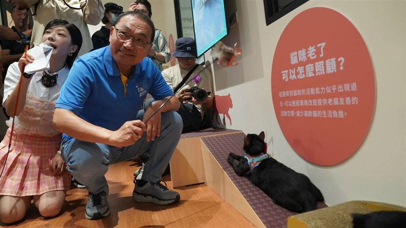 侯友宜至實體居家內和貓咪互動,介紹貓咪的所有用品設備。(圖/翻攝畫面)