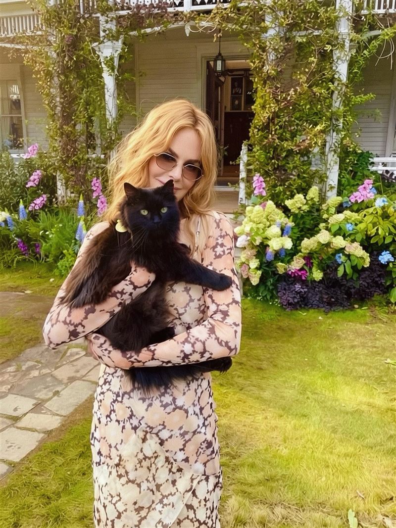 妮可基嫚首度公開離婚心境。(圖/翻攝自IG @nicolekidman)