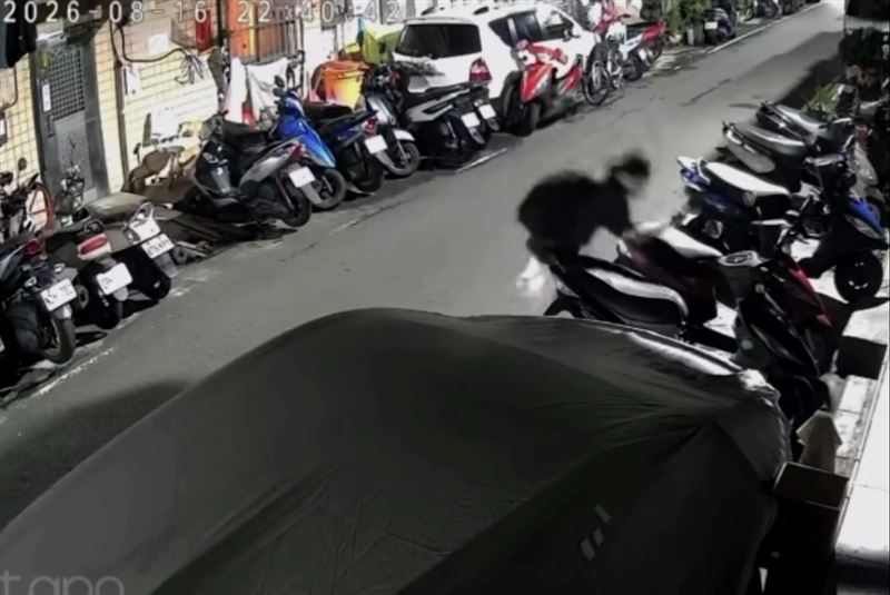 男子突然拿出鐵鎚無故攻擊狠敲一隻橘色的流浪貓。(圖/翻攝畫面)