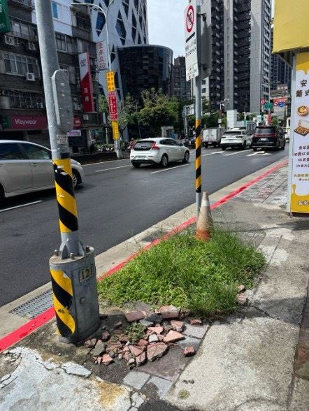 顏若芳踢爆台北市內人行道的雜草亂象。（圖／顏若芳辦公室提供）