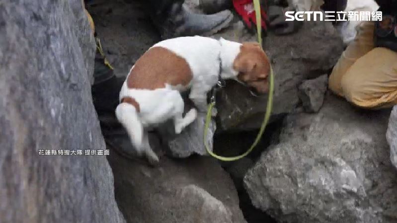 Wilson在0403地震幫了不少忙。（圖／花蓮縣特搜大隊提供）