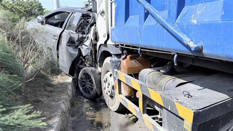 綠鬣蜥闖車道釀嚴重車禍　「牠」慘死輪下