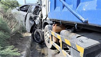 綠鬣蜥闖車道釀嚴重車禍　「牠」慘死輪下