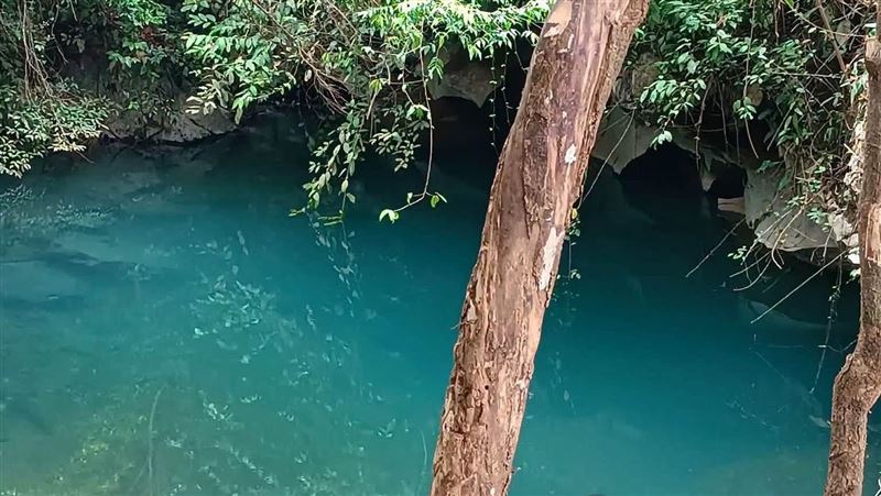 漁夫受困水下洞穴　15天未進食奇蹟獲救