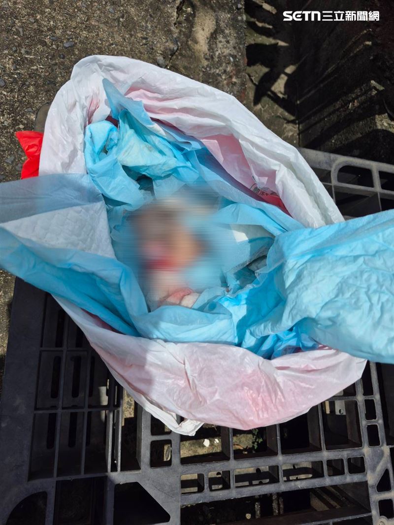 台南停車場「保麗龍箱」內驚見嬰屍,警追生母產子後跨區丟棄。(圖/翻攝畫面)