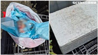 新／台南「保麗龍箱」驚見嬰屍　警追生母
