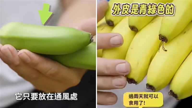 如果是尚未全熟的香蕉，建議放通風處等熟。（圖／翻攝自農糧署官方頻道）