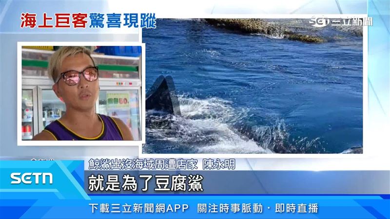 鯨鯊出沒海域周遭店家出面說明
