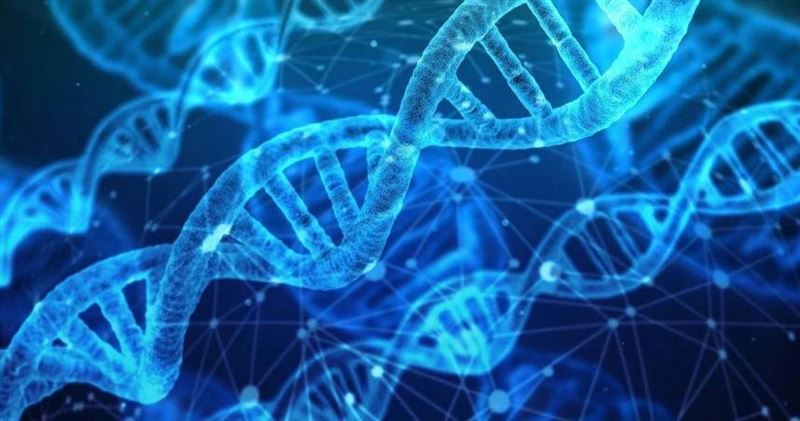 37歲女子凱西近日分享一段震撼的家族身世。她與從小形影不離的表妹阿蘭娜(Alana)感情深厚,兩人甚至常被誤認為雙胞胎。沒想到多年後,一個家族秘密逐漸浮出水面,DNA檢測更證實,這名陪伴她長大的「表妹」其實是同母異父的妹妹,而她一直稱為舅舅的男子,則是親生父親。(示意圖/Pixabay)