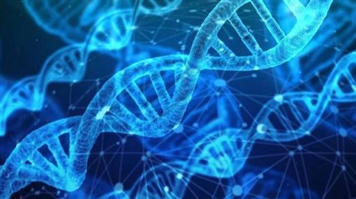 童年摯友竟是親妹！DNA揭家族秘密