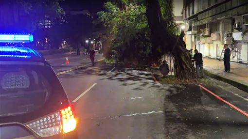 路樹倒塌「壓到巡邏員警」2人脫困…送醫