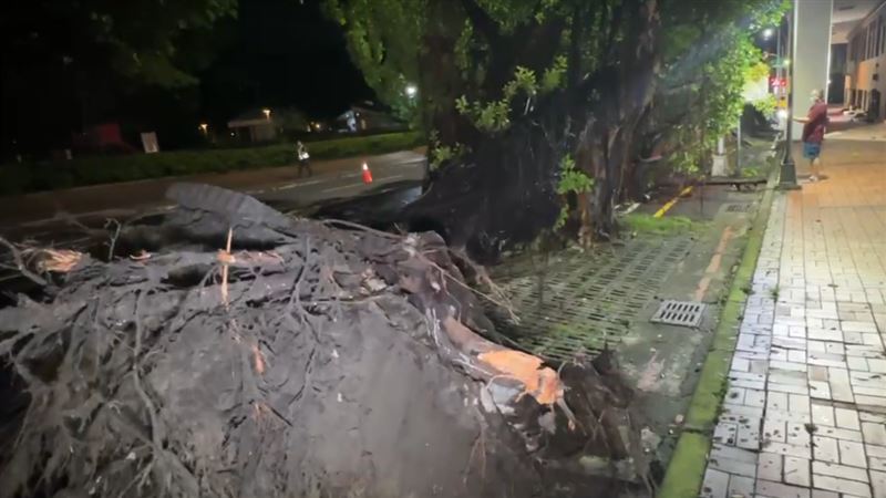 台中市中區公園路昨晚（19日）驚傳路樹倒塌，壓到2名巡邏的保大員警。（圖／翻攝畫面）