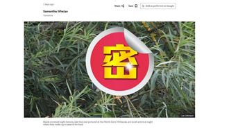 BBC爆神祕鳥！台灣人一看全笑翻