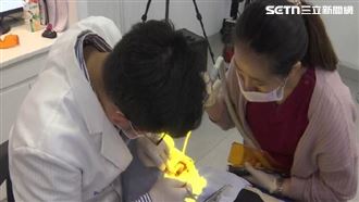 獨／陳幸妤擁億資產　揭牙醫月薪上看百萬