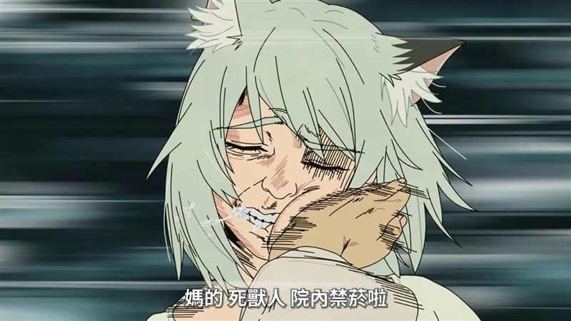網酸董氏基金會沒認真看《尼古喵喵》:根本勸世神作。(圖/翻攝《尼古喵喵》)