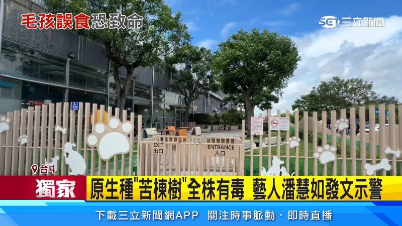 清水服務區設有寵物友善專區,讓主人跟寵物可以休息