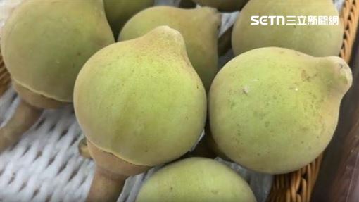 新水果椰柿一顆500元　九如農會嘗鮮試賣