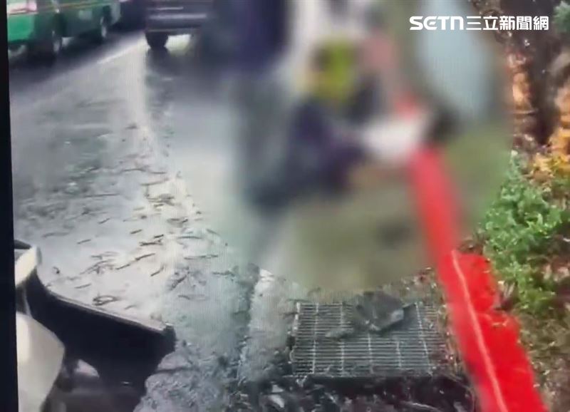 北市劉男酒駕行經總統官邸附近時拒檢逃逸還自撞路樹。(圖/翻攝畫面)