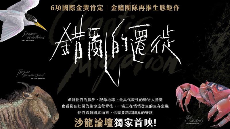 重磅新作《錯亂的遷徙》紀錄物種遷徙困境
