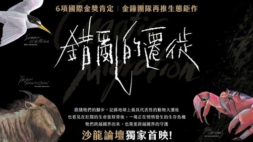 重磅新作《錯亂的遷徙》紀錄物種遷徙困境
