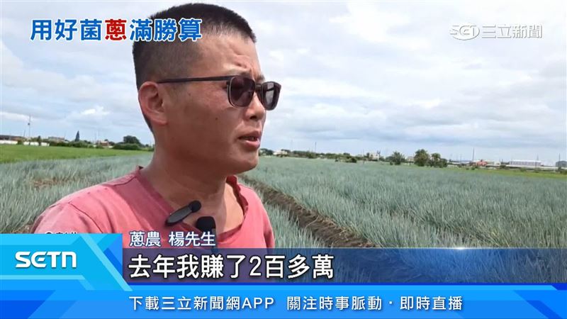 蔥農楊先生出面說明