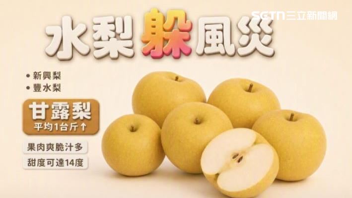 苗栗大湖鄉上市的有豐水、新興以及甘露三個品種