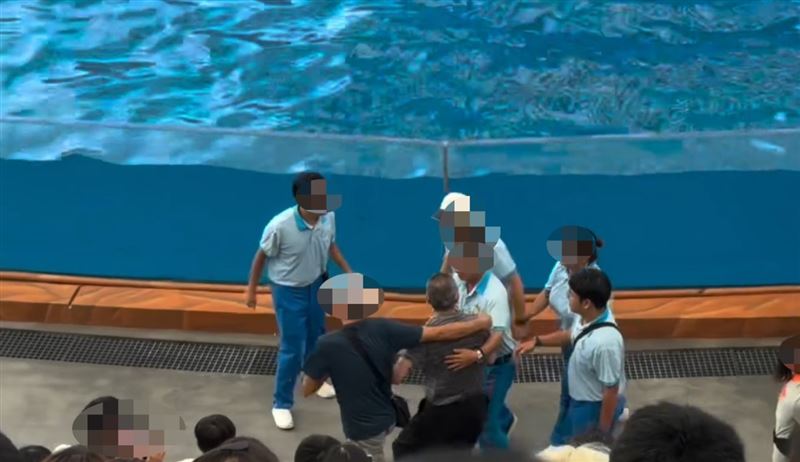 花蓮遠雄海洋公園內,一名疑似喝醉酒的阿北、在場邊大鬧,甚至企圖脫鞋跳入池中,最後被工作人員合力拉走。(圖/翻攝Threads@tingyuwu0904)