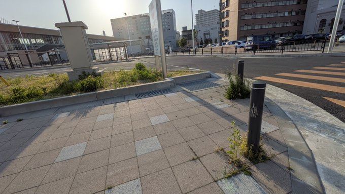 日本青森縣驚傳熊襲人事件,外國遊客手臂遭咬傷。(圖/翻攝自X平台 @OGebVouWpE59735)