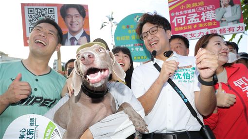 沈伯洋內湖碧湖公園掃街與狗合影民進黨台北市長參選人沈伯洋（前右2）21日上午赴內湖碧湖公園掃街，有民眾抱著愛狗與沈伯洋合影。中央社記者翁睿坤攝　115年8月21日