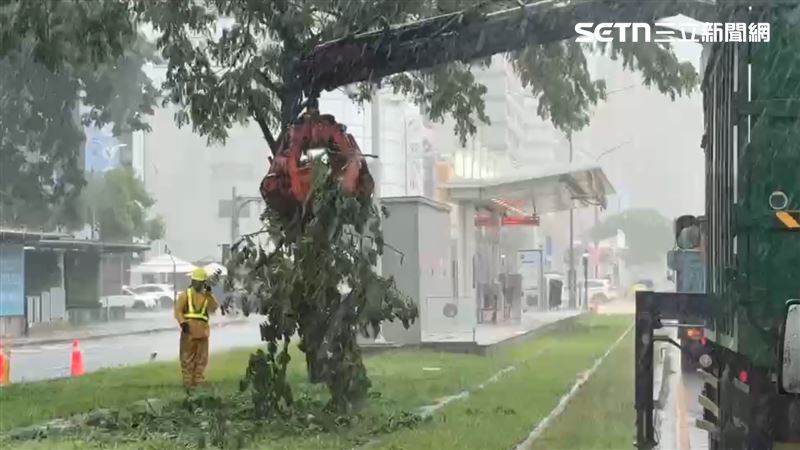 相關單位冒雨清除樹枝。(圖/翻攝畫面)