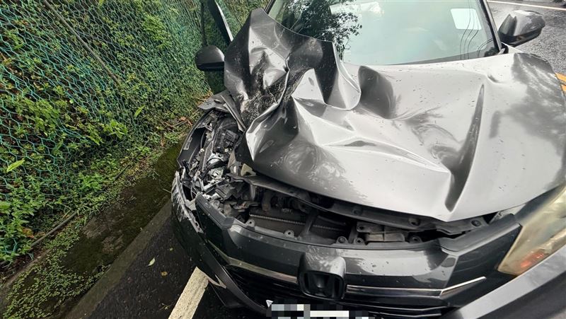蘇花公路落石砸車　車內一家三口逃死劫