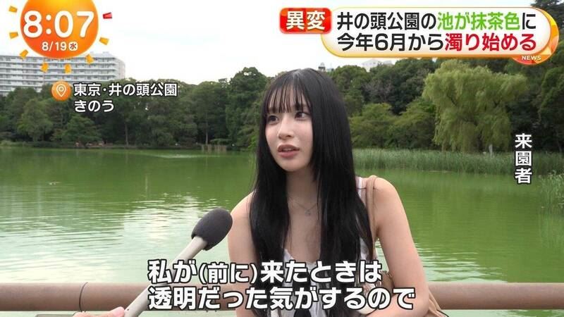 日本富士電視台採訪井之頭公園裡池塘優養化問題,意外訪到超亮眼長髮美女引發討論。(圖/翻攝自X)