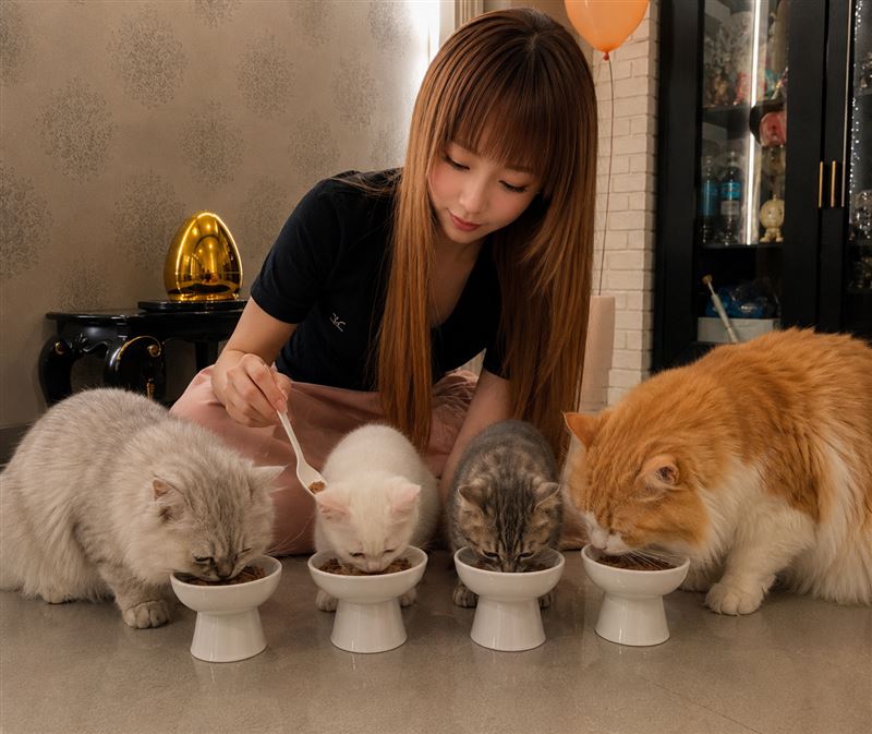 從小就愛貓的陳可蒂，家中也曾養過八隻貓，更能理解生命平等的重要，也因此長期投入流浪動物關懷。（圖／陳可蒂提供）